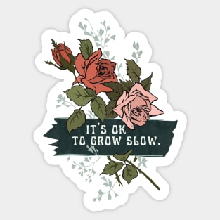 It's Ok To Grow Slow Sticker